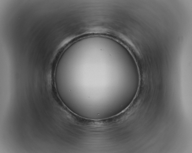 X0000113531315200910021321