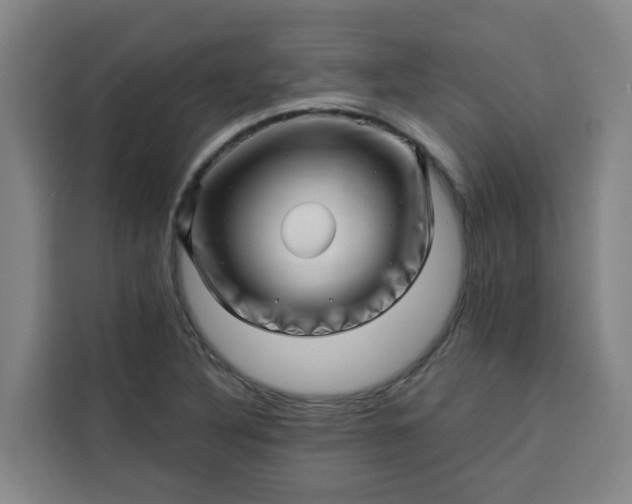 X0000113531316200910021321