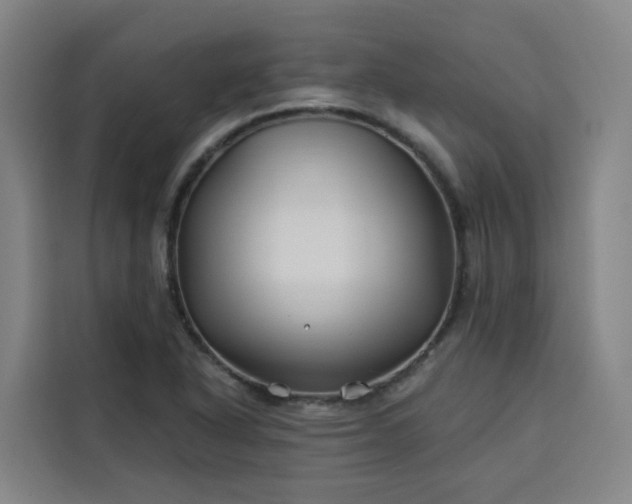 X0000113531318200910021321