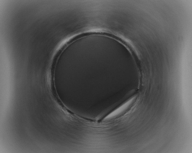 X0000113531319200910021321