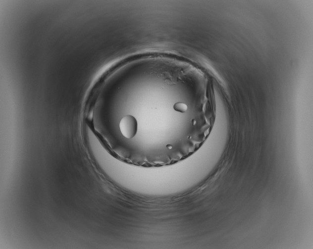 X0000113531320200910021321