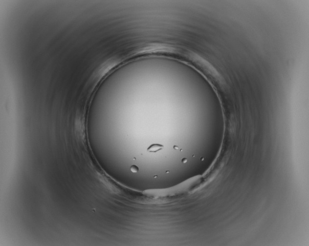 X0000113531321200910021322