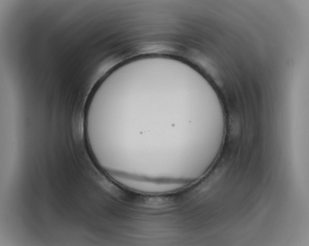 X0000113531322200910021322