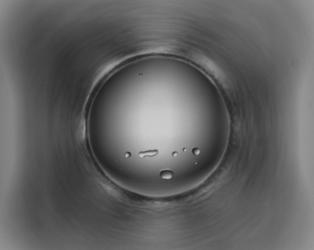 X0000113531324200910021322