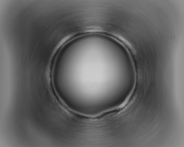 X0000113531325200910021322