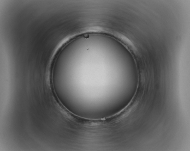 X0000113531326200910021322