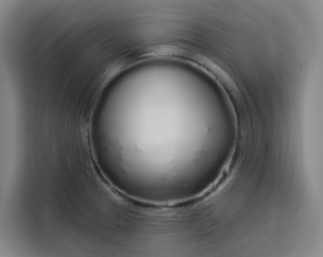 X0000113531329200910021322