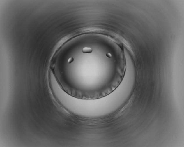 X0000113531330200910021322