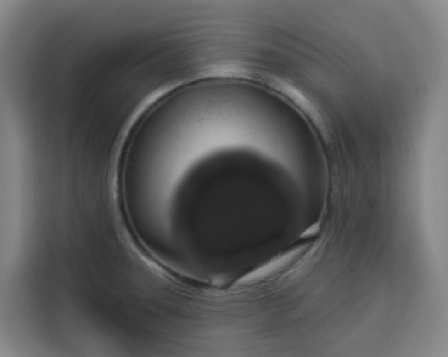 X0000113531331200910021322