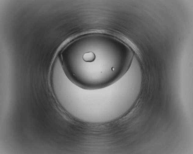 X0000113531332200910021322