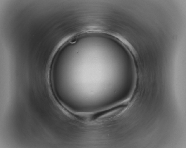 X0000113531333200910021322