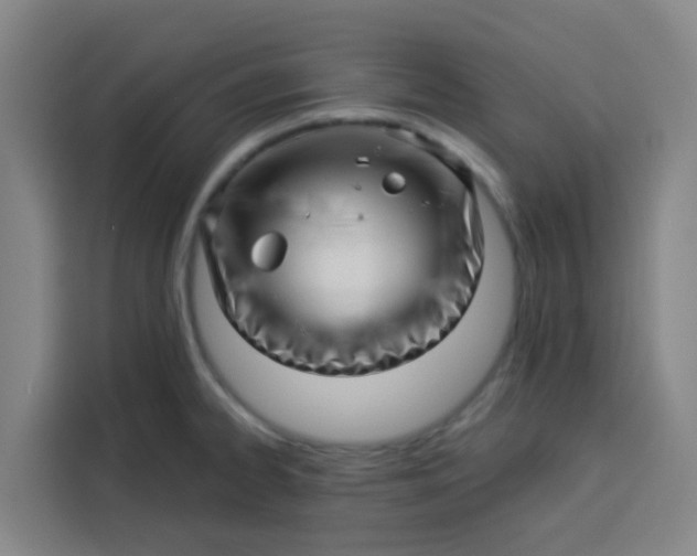 X0000113531334200910021322