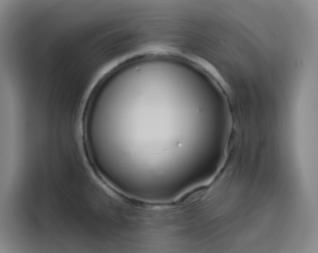 X0000113531335200910021322