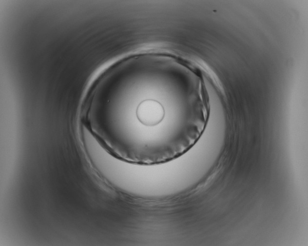 X0000113531336200910021322