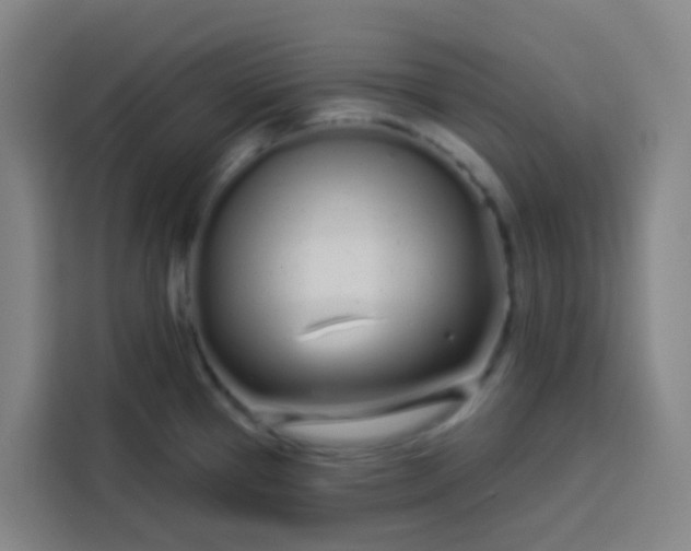 X0000113531337200910021322