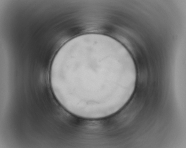 X0000113531338200910021322