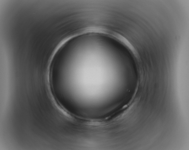 X0000113531339200910021322