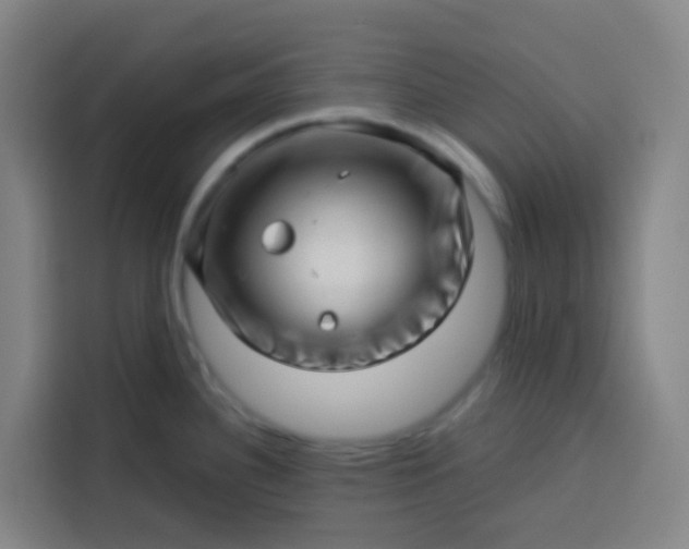 X0000113531340200910021322