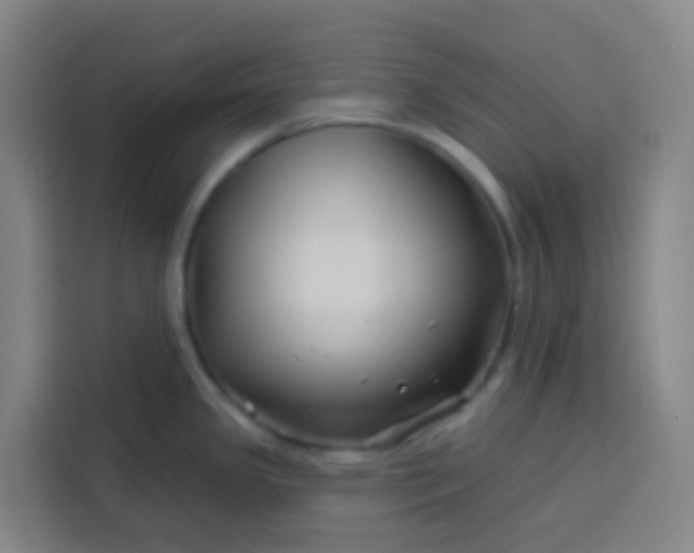 X0000113531341200910021322