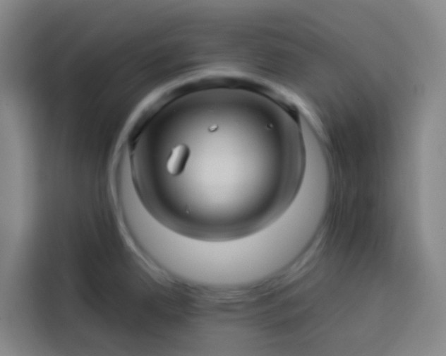 X0000113531342200910021322