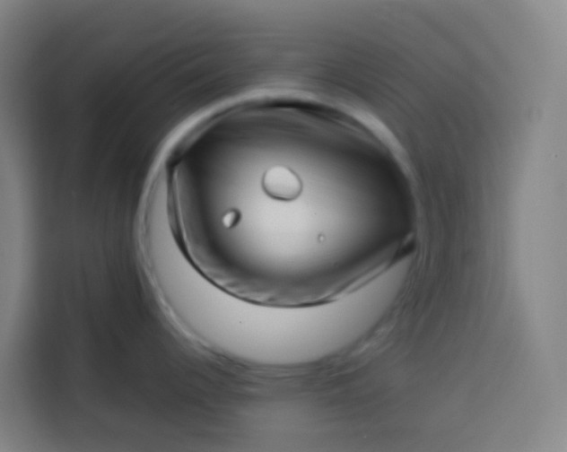 X0000113531344200910021322