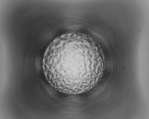 X0000113531346200910021321