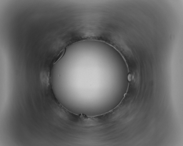 X0000113531348200910021321