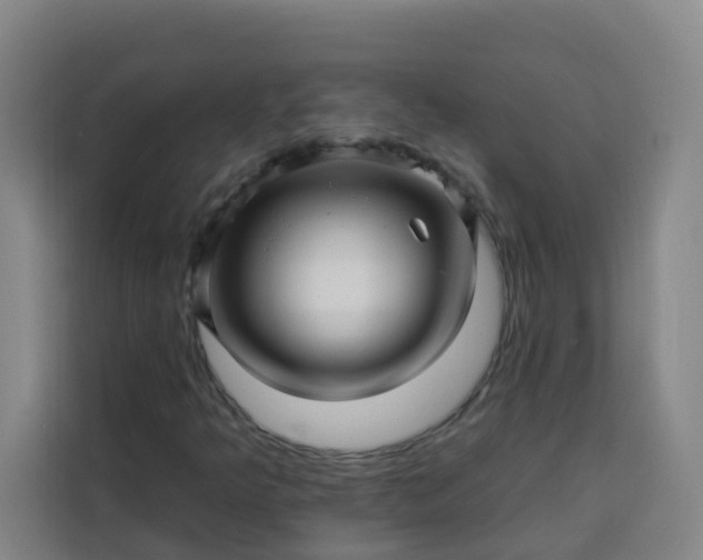 X0000113531349200910021321