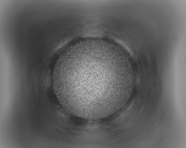 X0000113531350200910021321