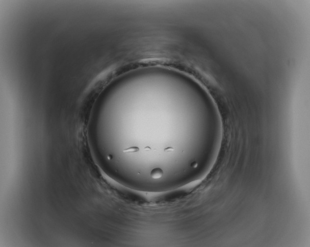 X0000113531351200910021321