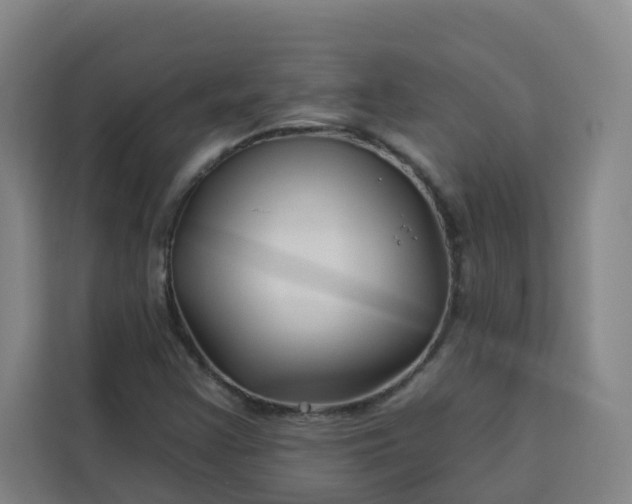 X0000113531355200910021321