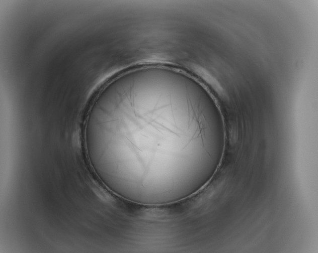 X0000113531356200910021321