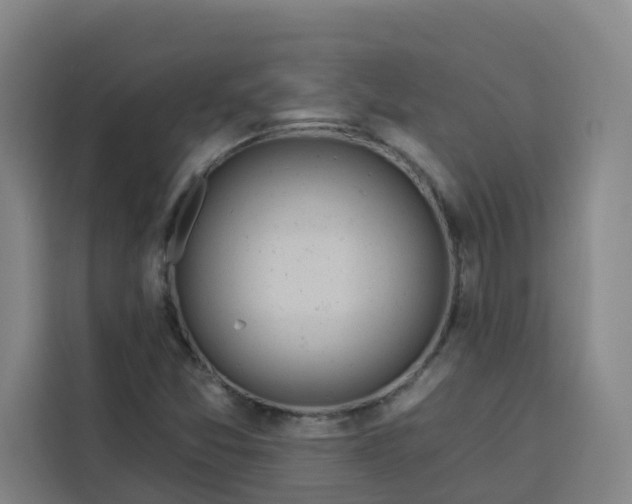 X0000113531357200910021321