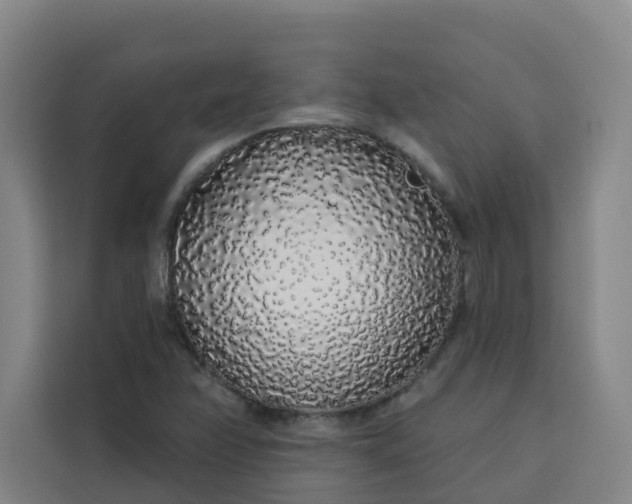 X0000113531358200910021321