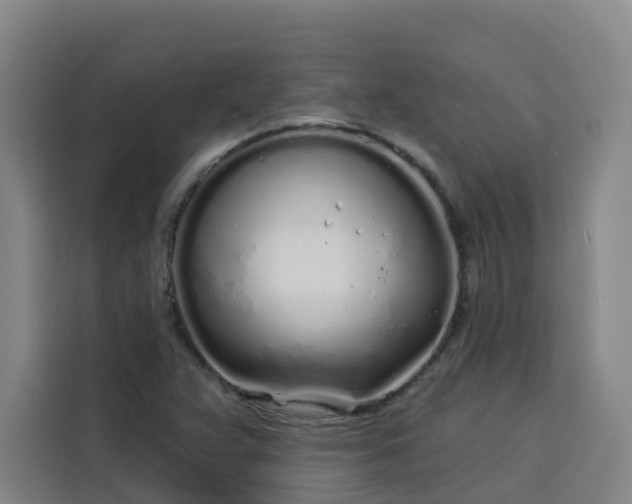 X0000113531359200910021321