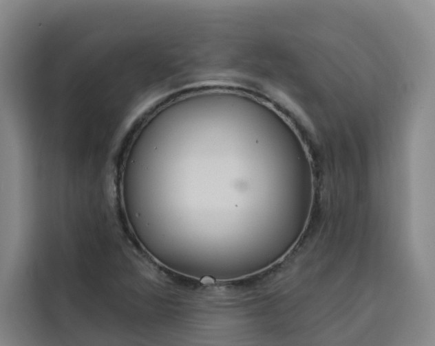 X0000113531360200910021321