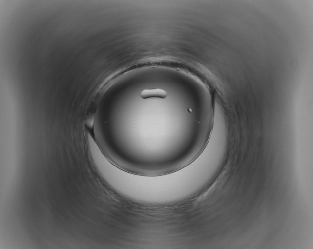 X0000113531361200910021321