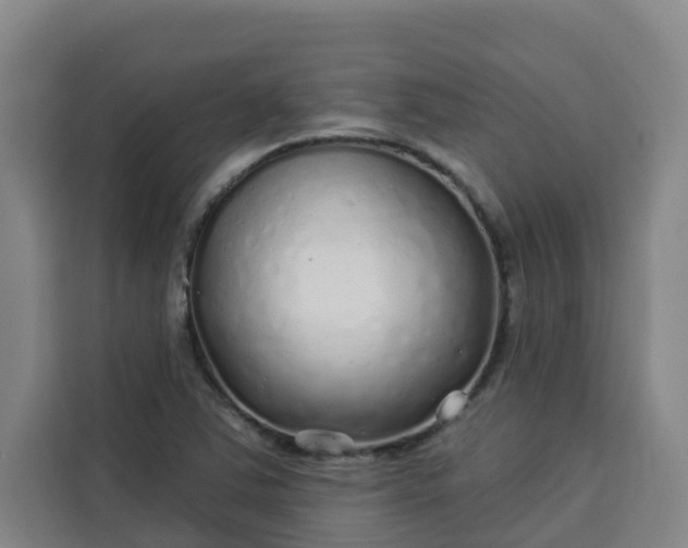 X0000113531363200910021321