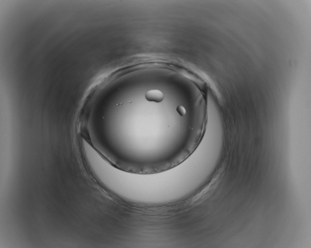 X0000113531365200910021321