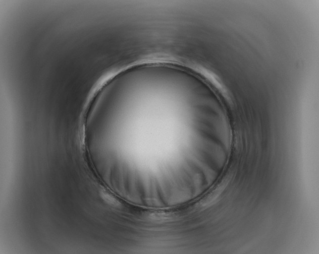 X0000113531366200910021321