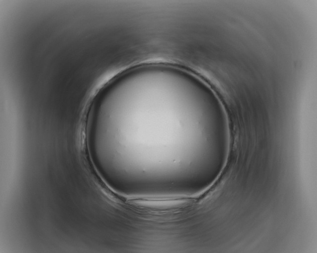 X0000113531367200910021321