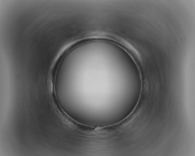 X0000113531368200910021321