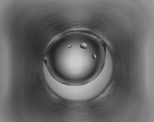 X0000113531369200910021321