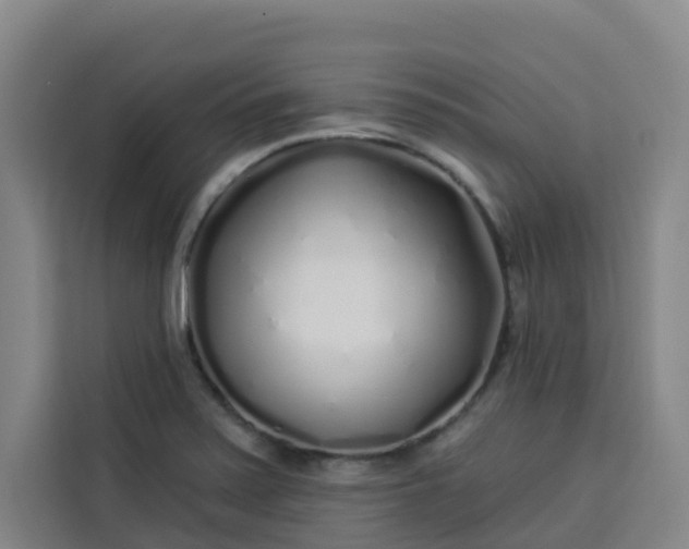 X0000113531371200910021321