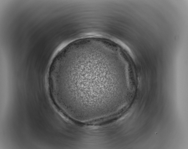 X0000113531373200910021321