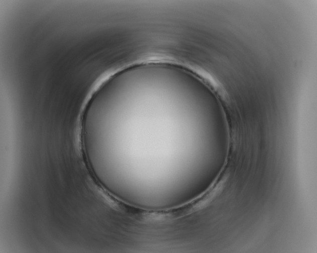 X0000113531374200910021321