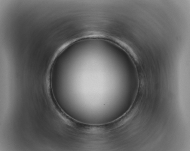 X0000113531375200910021321