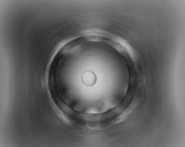 X0000113531376200910021321