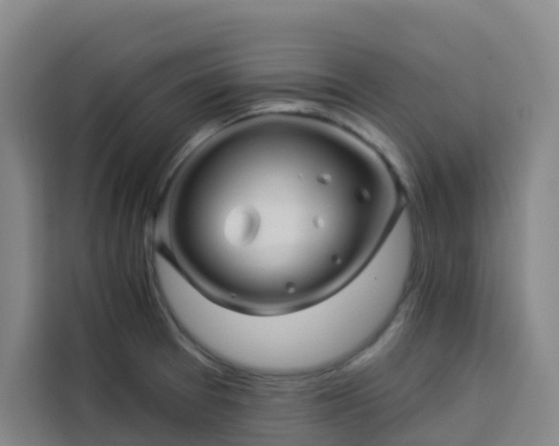 X0000113531377200910021321