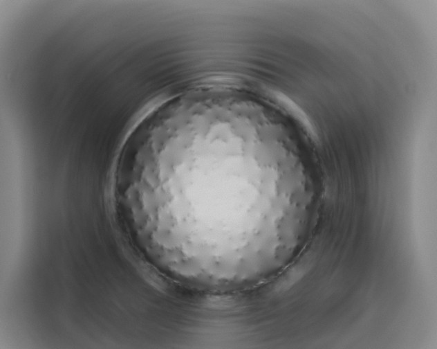 X0000113531378200910021321